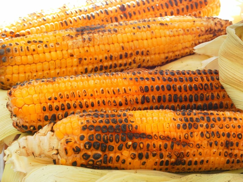 Corn on the cob