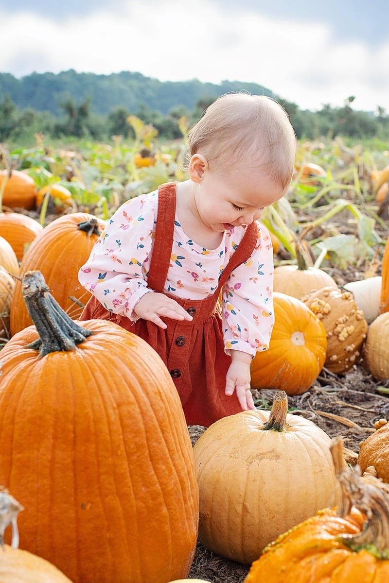 Pumpkin Spice